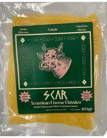 QUEIJO PRATO AMERICAN CHEESE PICANTE FAT 20G SCAR CX/08 UN