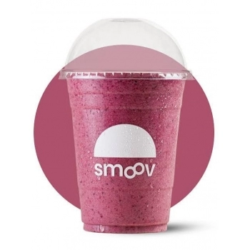 KIT ANTIOX BERRIES 480 ML SMOOV